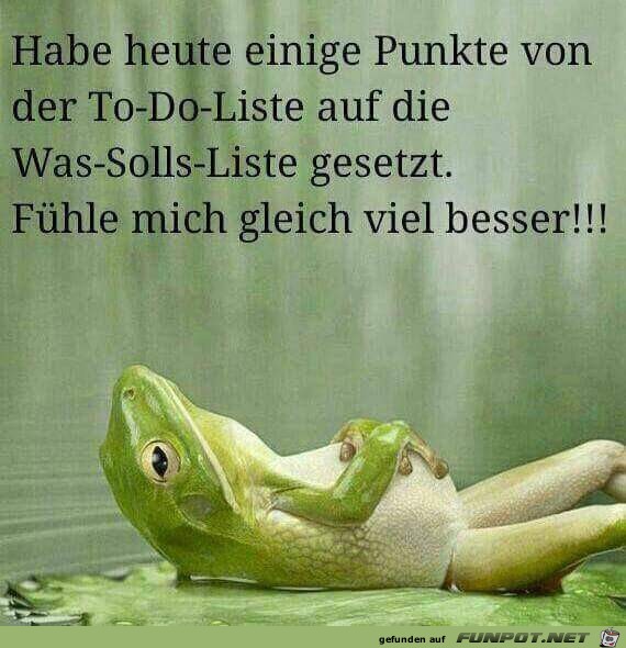 habe heute habe heute