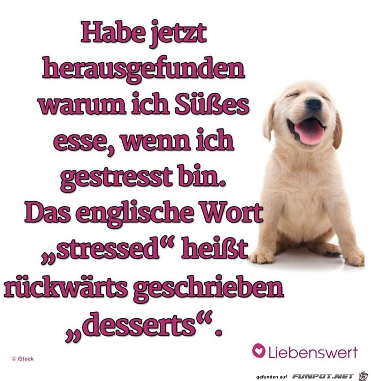 habe jetzt herausgefunden habe jetzt herausgefunden