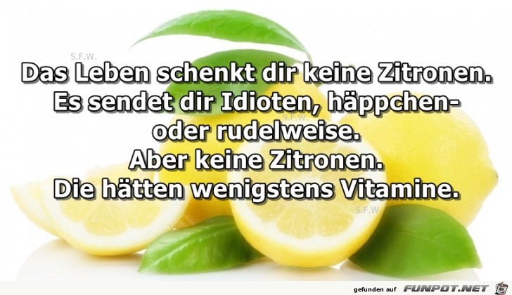 Das Leben schenkt Das Leben schenkt