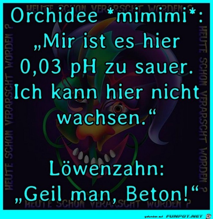 Was Blumen denken Was Blumen denken