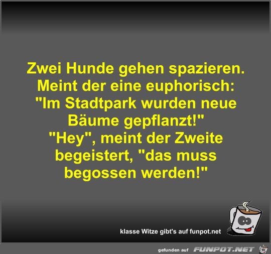 Zwei Hunde gehen spazieren Zwei Hunde gehen spazieren