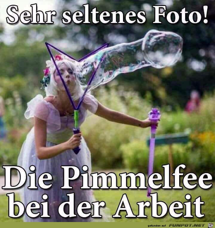 Sehr seltenes Foto