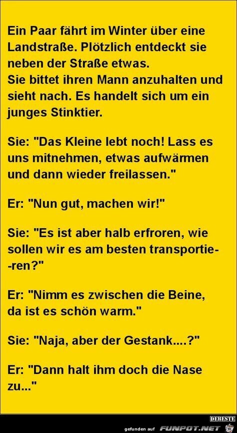 Stinktier Stinktier