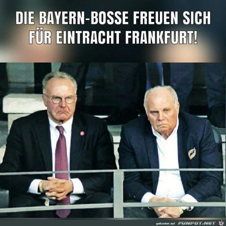 Bayern-Bosse Bayern-Bosse
