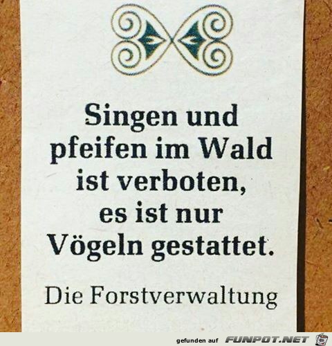 im Wald im Wald
