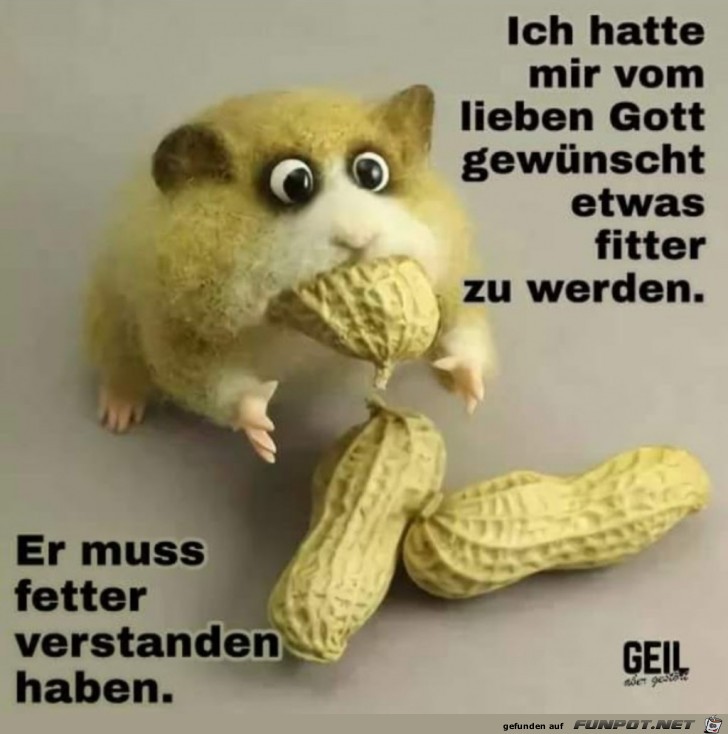 falsch verstanden falsch verstanden