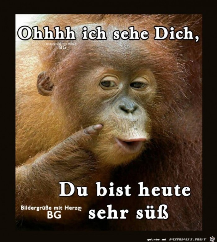 Ohhhh ich sehe Dich