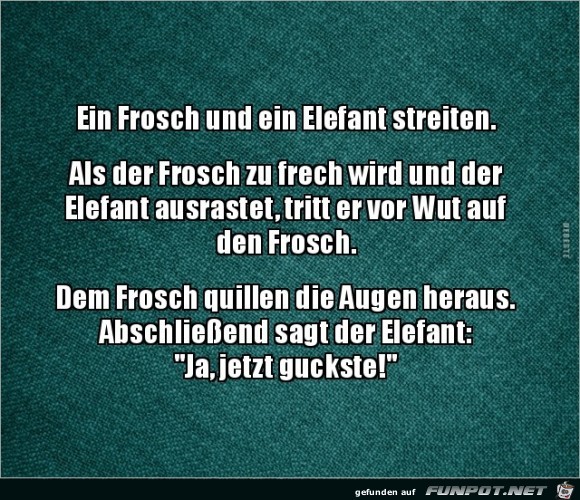 ein Frosch und ein Elefant.....