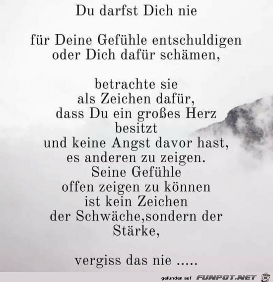 vergiss das nie.... vergiss das nie....