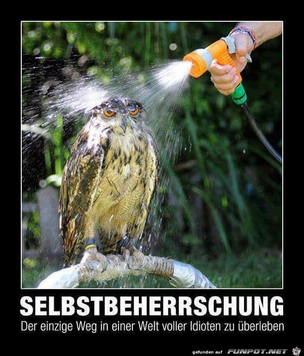 Selbstbeherrschung Selbstbeherrschung