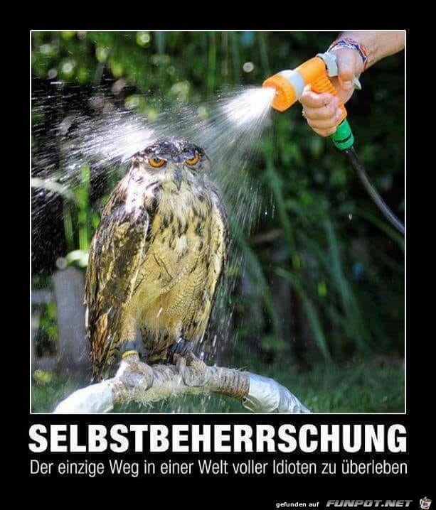 Selbstbeherrschung