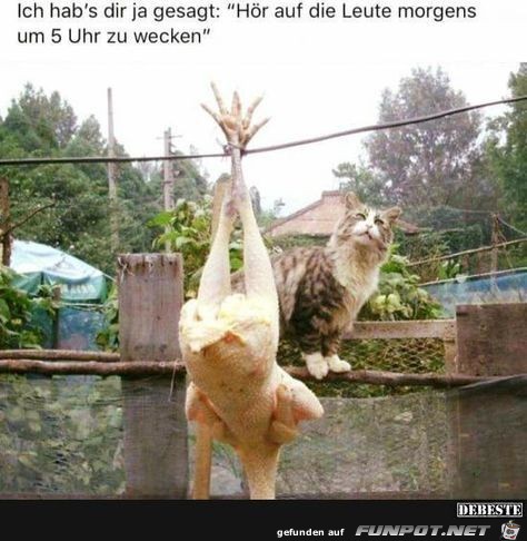 5 Uhr Wecker 5 Uhr Wecker