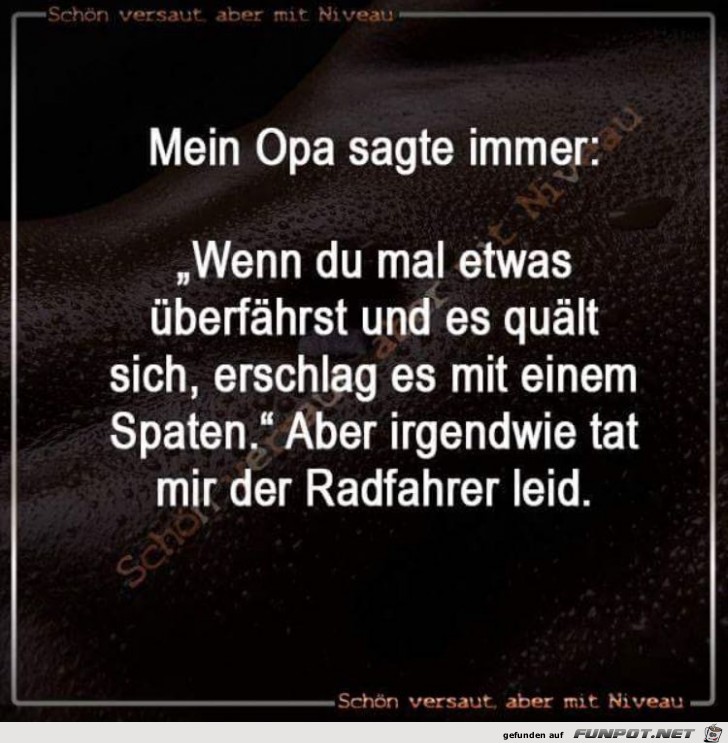 Opa sagt immer... Opa sagt immer...