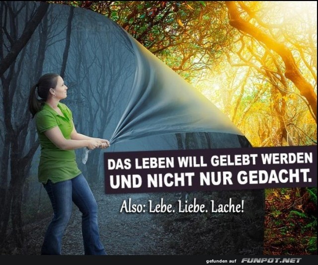 10 schne Sprche und Lebensweisheiten aus...