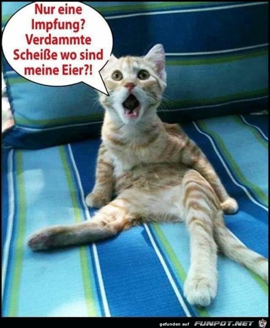 wo sind meine Eier?.. wo sind meine Eier?..