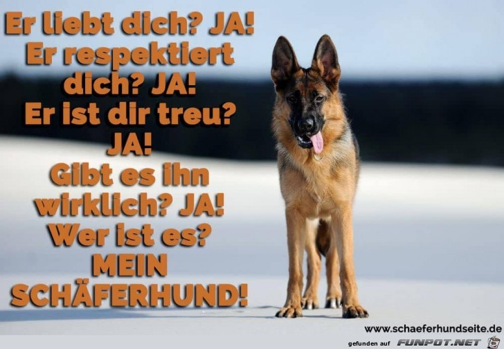 er liebt und respektiert dich.. er liebt und respektiert dich..