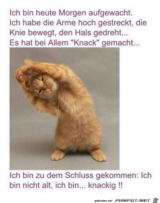 ich bin knackig.. ich bin knackig..