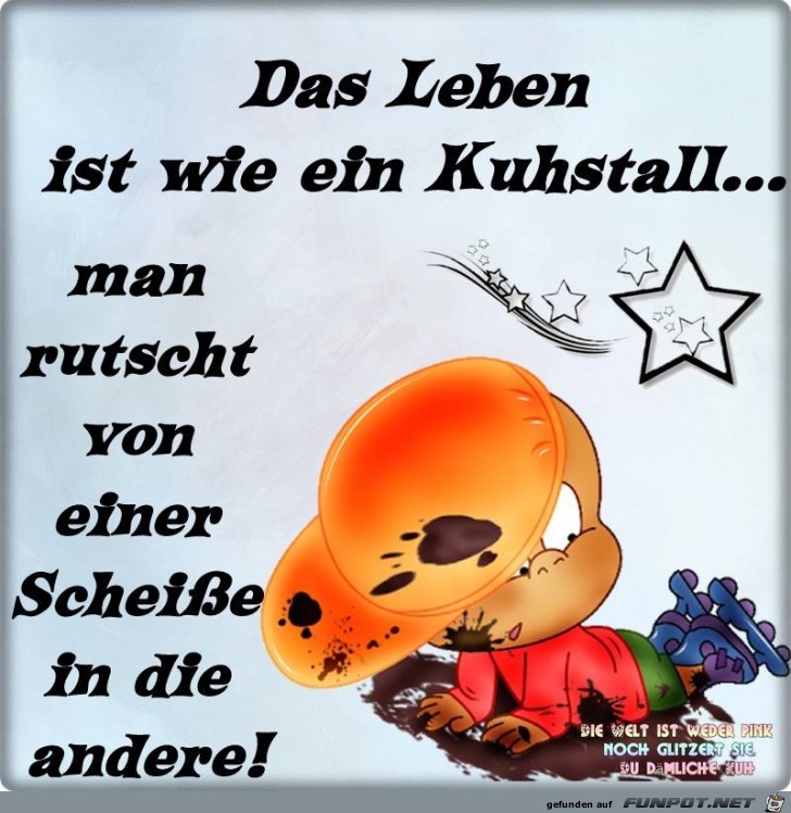 Das Leben ist wie ein Kuhstall