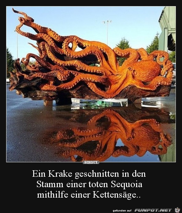 eine Krake eine Krake