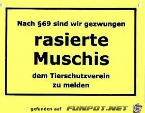 rasierte Muschi's