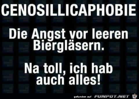 Cenosillicaphobie Cenosillicaphobie