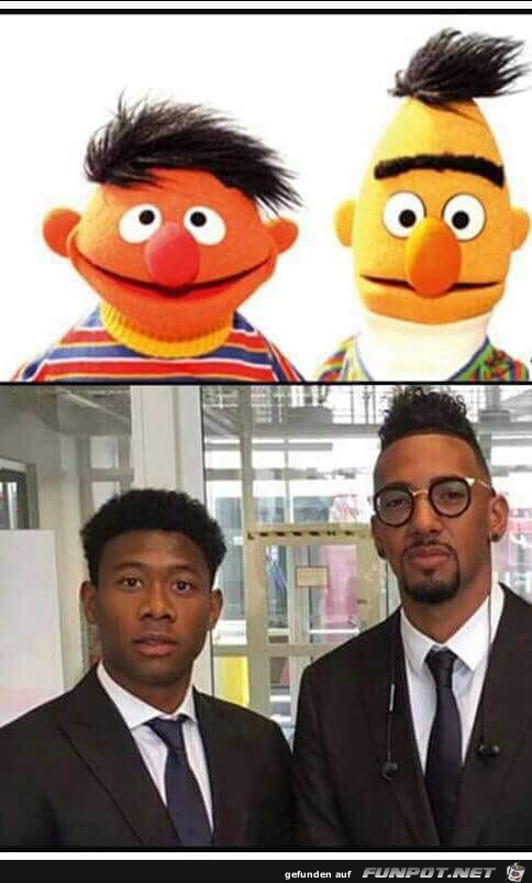 Ernie und Bert