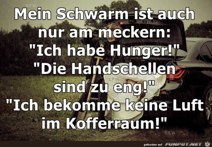 Mein Schwarm ist auch nur Mein Schwarm ist auch nur