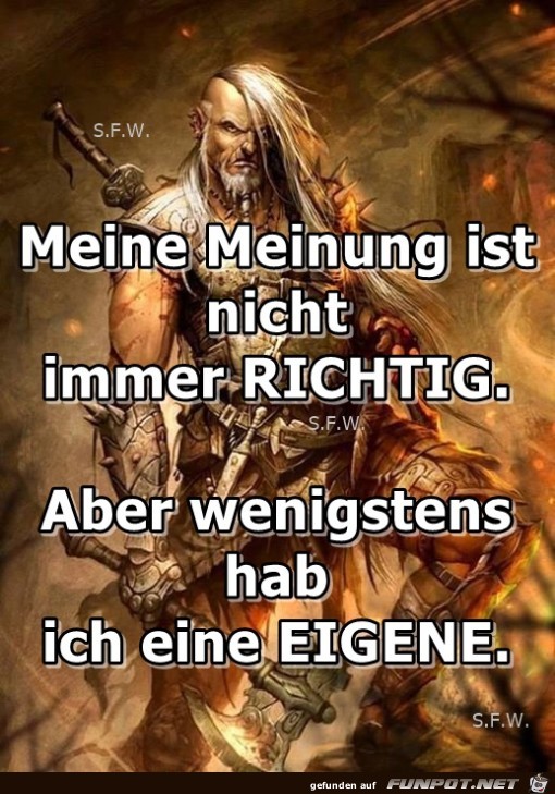 Meine Meinung ist