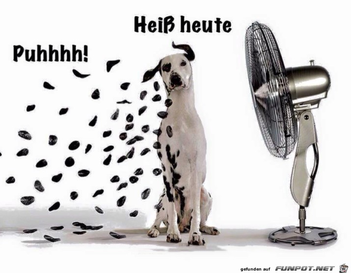 Heiß Heiß