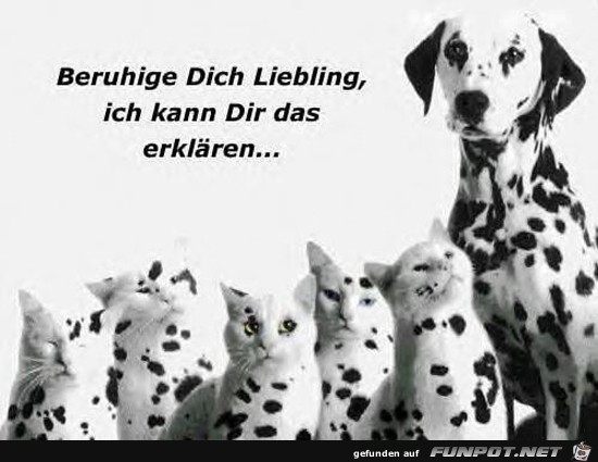 Beruhige dich, Liebling Beruhige dich, Liebling