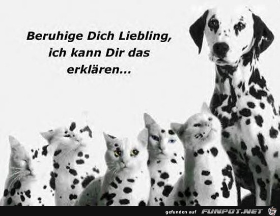 Beruhige dich, Liebling