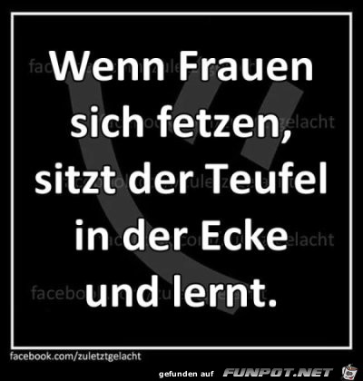 wenn Frauen sich fetzen wenn Frauen sich fetzen
