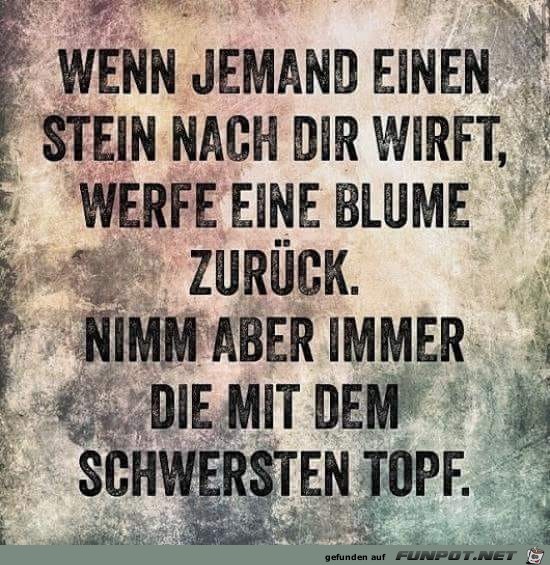 Stein werfen Stein werfen