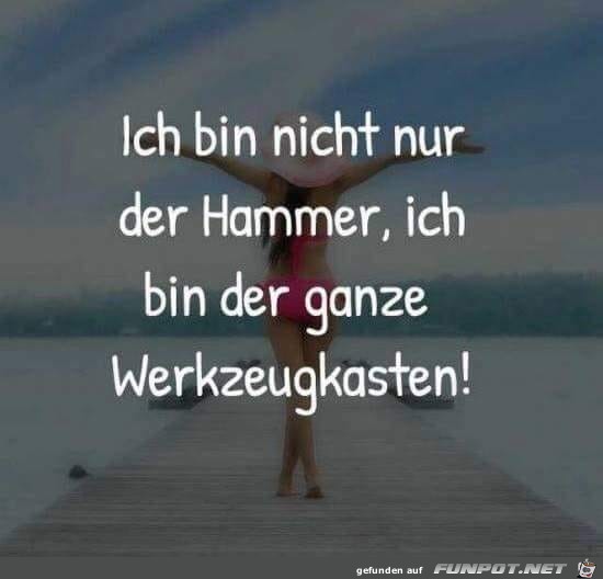 Hammer Hammer