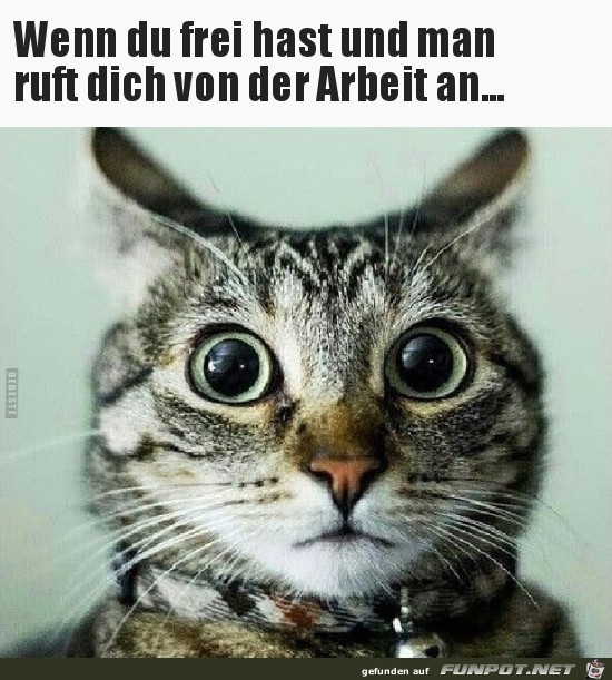 Schock schwere Not Schock schwere Not