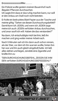 Der Durchsuchungsbefehl