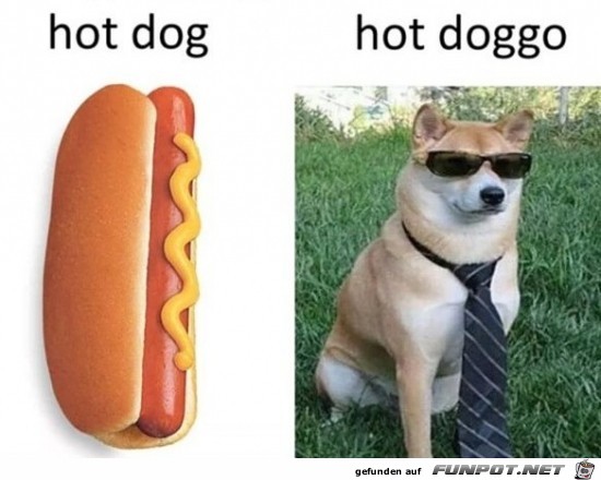 Hot Dog