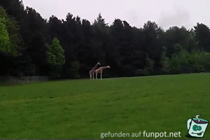 Das hat nicht geklappt Das hat nicht geklappt