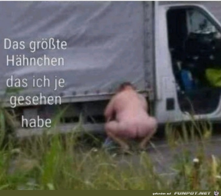 Das größte Hähnchen Das größte Hähnchen
