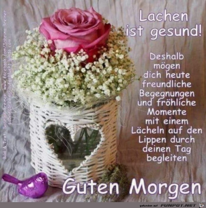 Guten Morgen - 'lachen Ist Gesund'