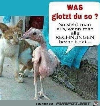 Alle Rechnungen bezahlt Alle Rechnungen bezahlt