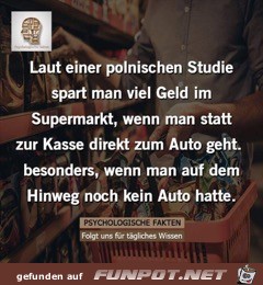 Polnische Studie