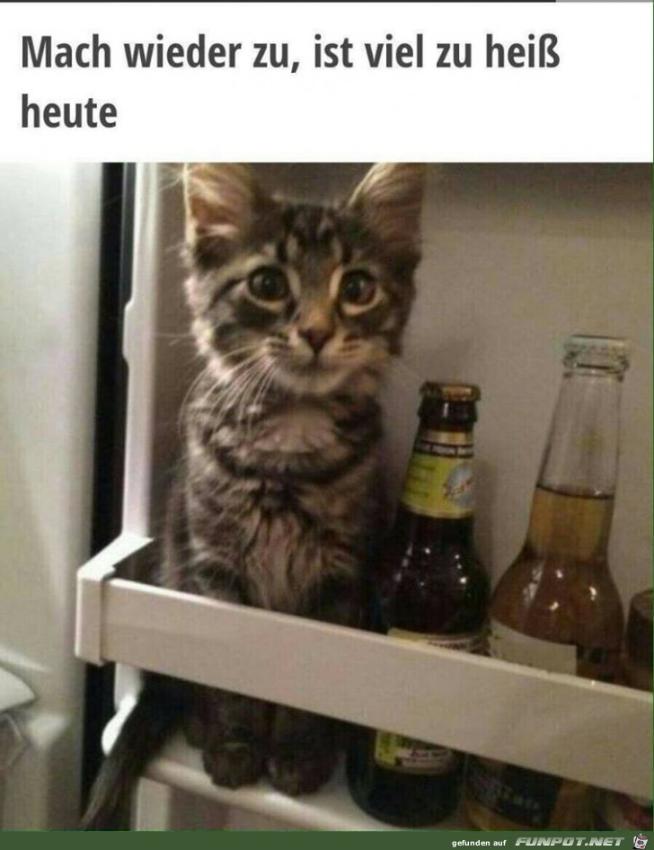 Überraschung Überraschung