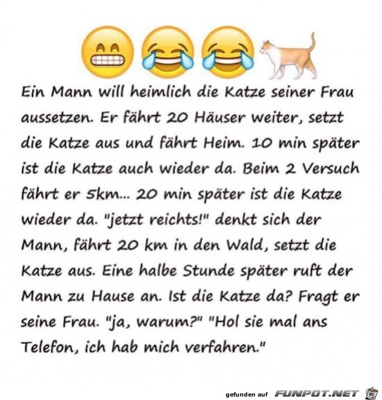 heimlich die Katze ausetzen.....