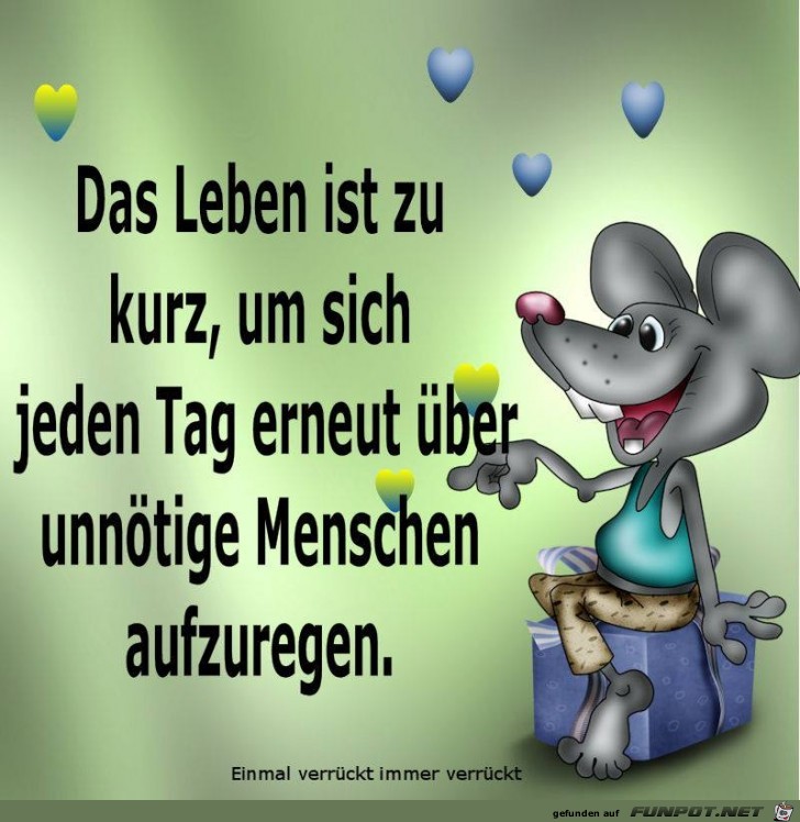 Das Leben ist zu kurz Das Leben ist zu kurz