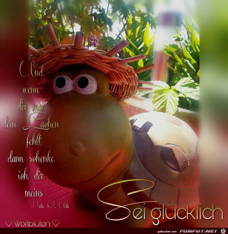Sei glücklich Sei glücklich