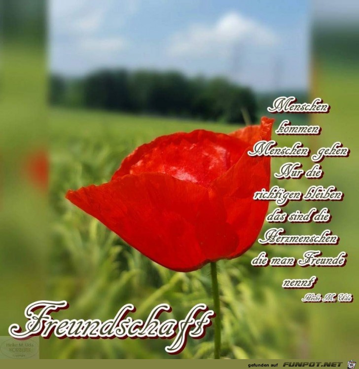Freundschaft Freundschaft