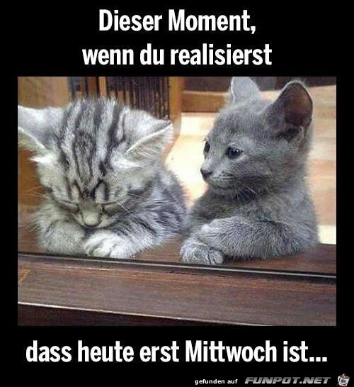 Dieser Moment Dieser Moment