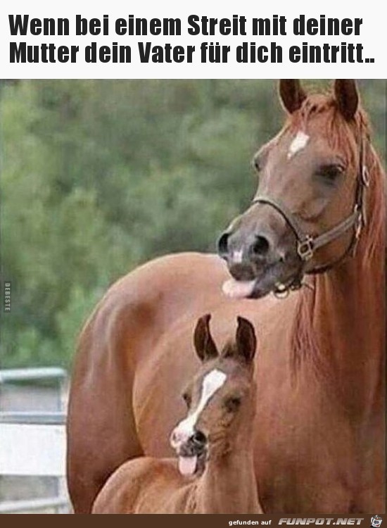 Dein Vater Dein Vater