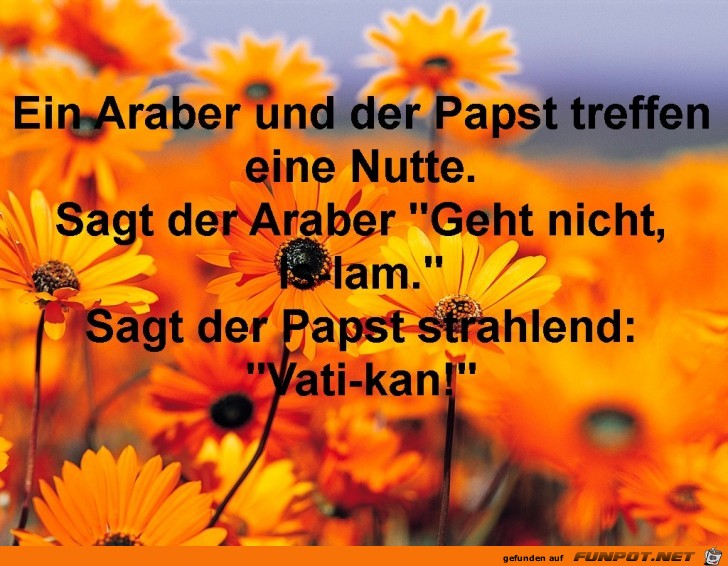 Ein Araber und der Papst... Ein Araber und der Papst...